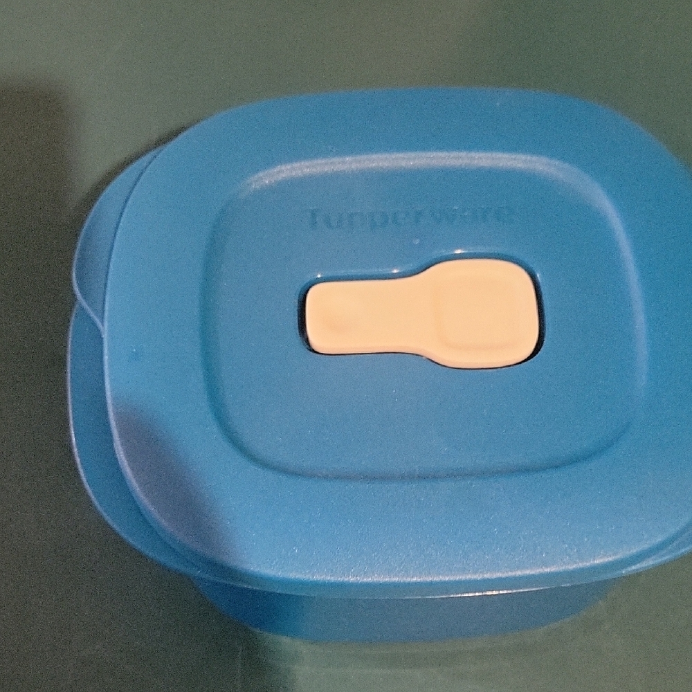 Tupperware Container NWOT